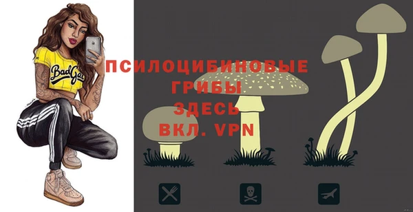 a pvp Касимов