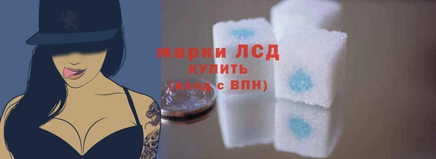 a pvp Касимов