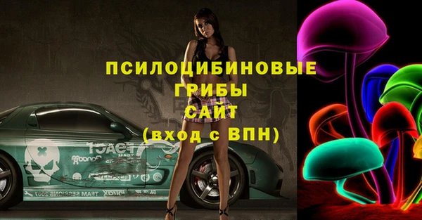 соль ск Карпинск
