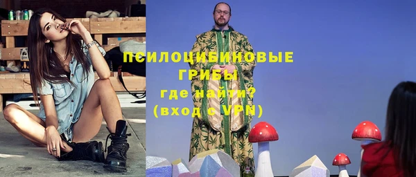 a pvp Касимов